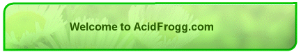 Welcome to AcidFrogg.com